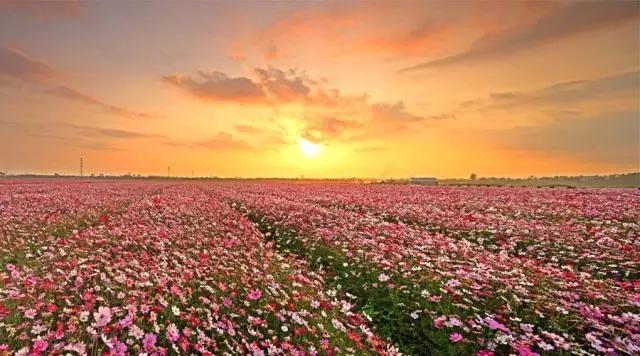 �����P�˻���