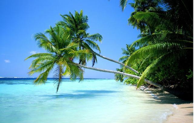 ������ɫ