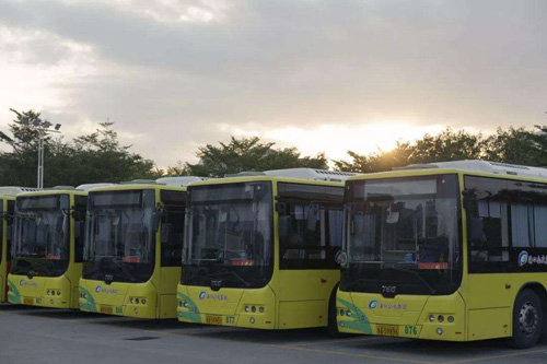 ���ڹ���