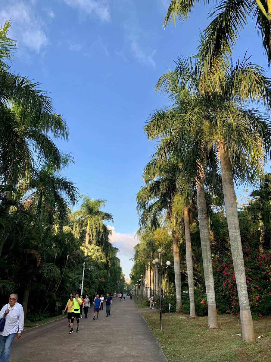 ���ڽ�ţ�X���@