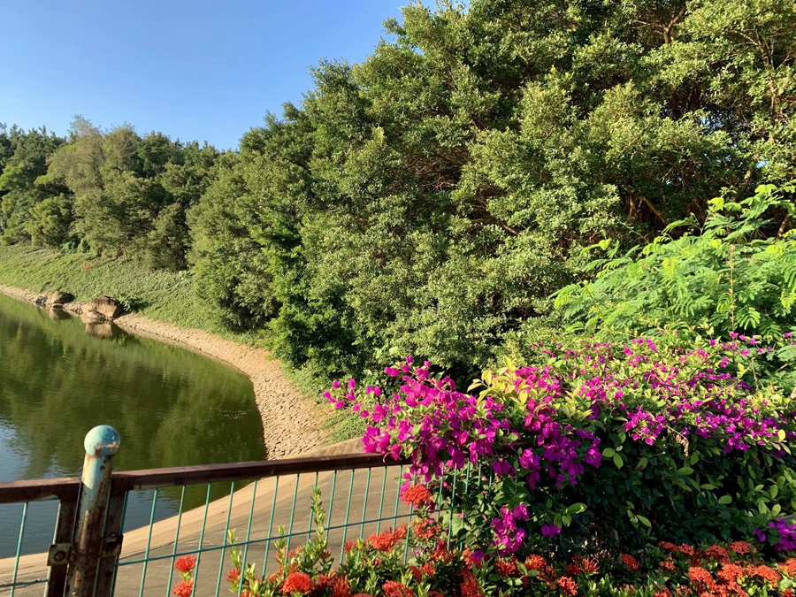 ���ڽ�ţ�X���@