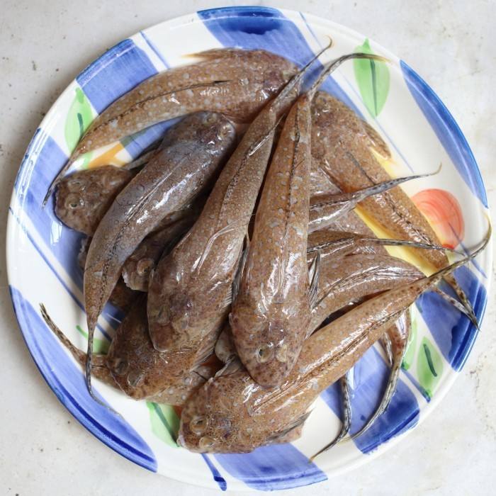 �u���~(y��)