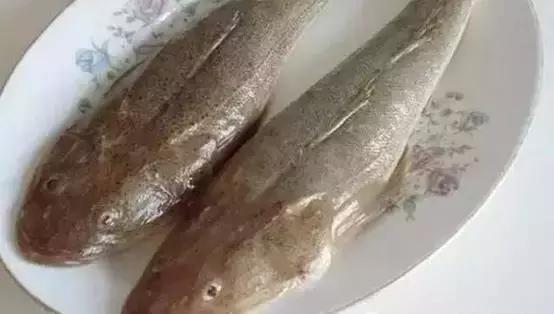 �����~(y��)