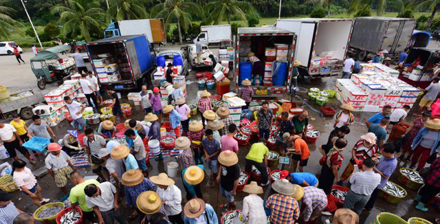 ����̶�T�۴a�^