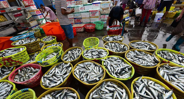 ����̶�T�۴a�^