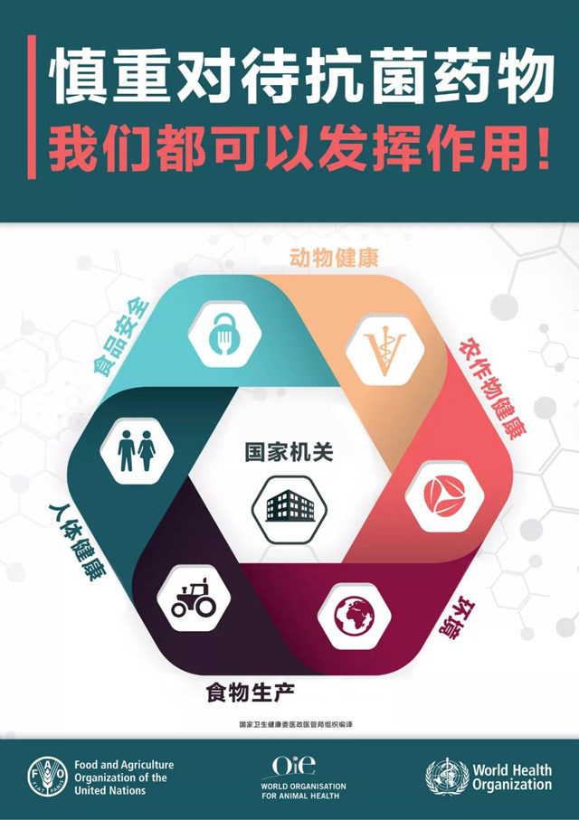 ����ʹ�ÿ���ˎ��