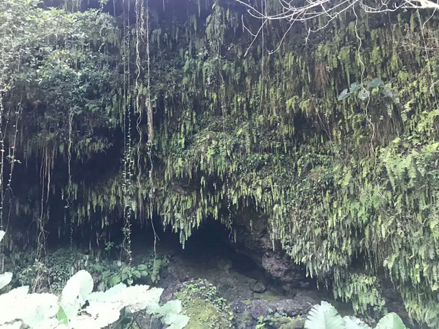 ���ڻ�ɽ��