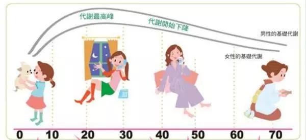 ���w���x