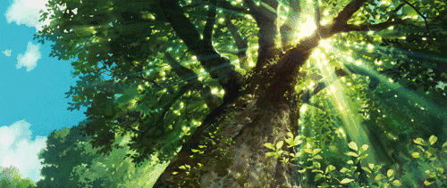 ����o�޺�