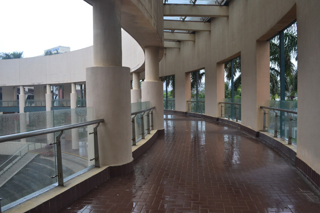 �����Ǻ���