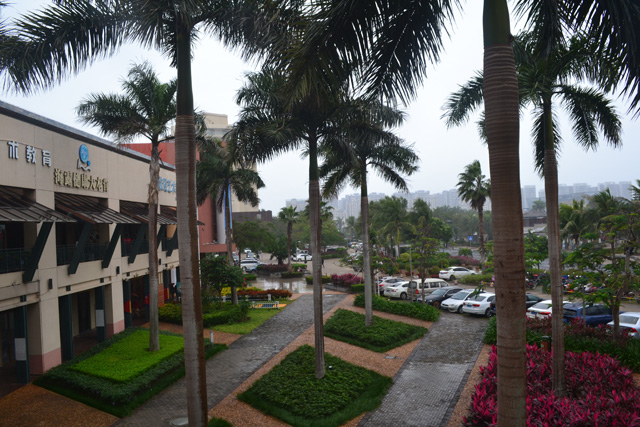 �����Ǻ���