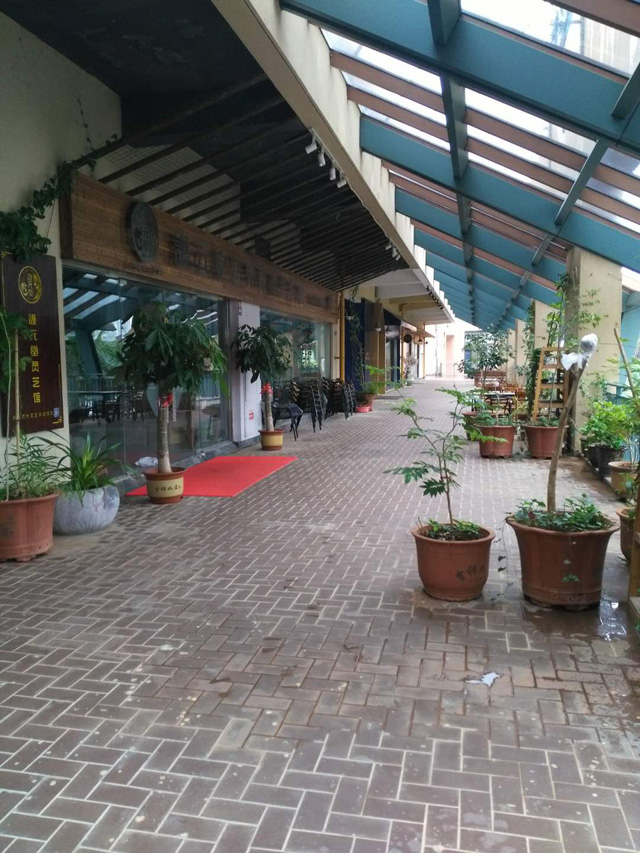 �����Ǻ���