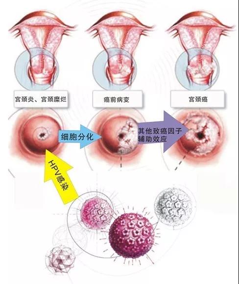 �m�i���Ĳ���