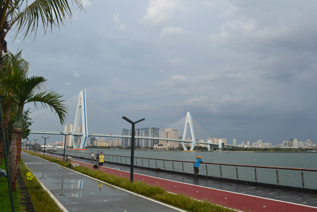 ��������