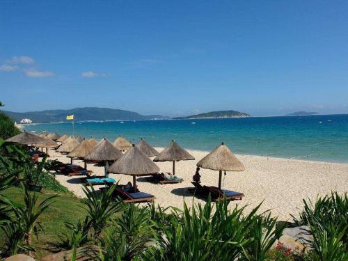 ���Ϻ�߅��ɫ