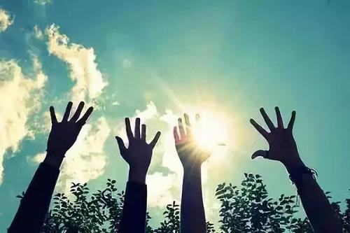 ��ʡ��������ϴ�W(xu��)�����w���Ƿ񰴺������߈�(zh��)����