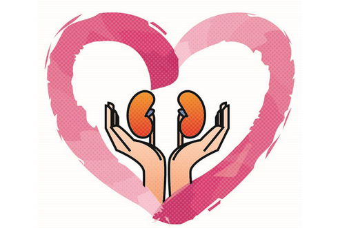 ����Ϣ����α��B(y��ng)�I��