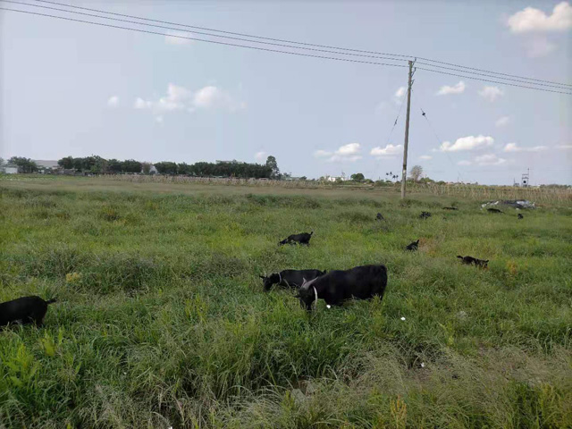 �����н��|�^(q��)������2021���S��