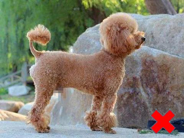 ������վ�˂�(c��)�涼�ǳ�������������Ę��Ҫ�D(zhu��n)�^�������R�^