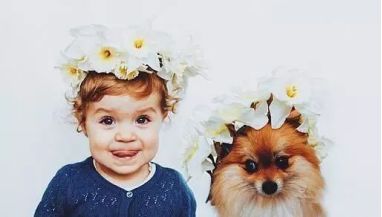 �����B(y��ng)ȮС���R(sh��)