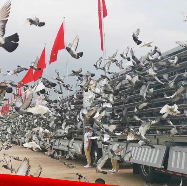 ���ϑcף���-����W��Rϵ�Ї��������п����w��ƽ��